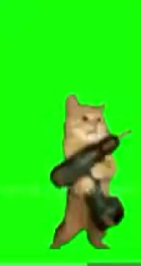 Video by owenn