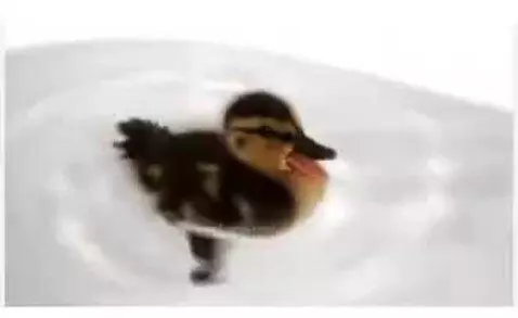 me in the bath by owenn