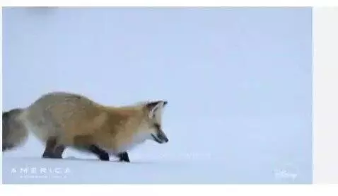 me in the winter by owenn