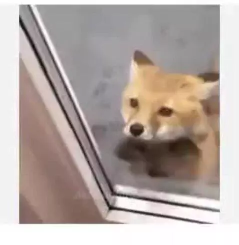 me opening a door by owenn
