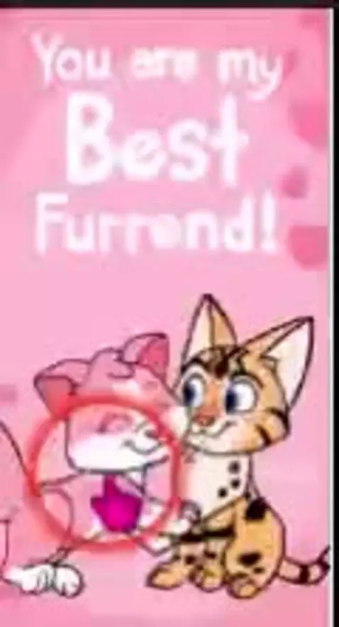Video by kokokat