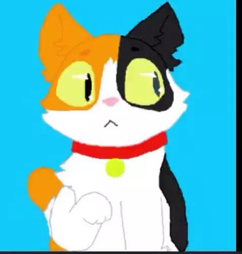 Video by kokokat