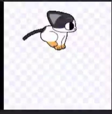 Video by kokokat