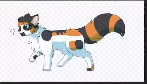 Video by kokokat