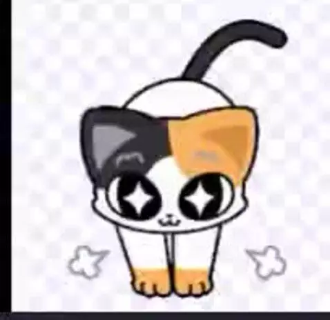 Video by kokokat