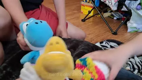 Video by dinosaurs