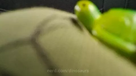 My 🐢 by dinosaurs
