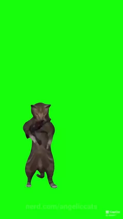 Meowww by angeliccats