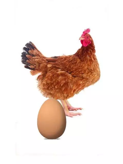 Chicken by angeliccats