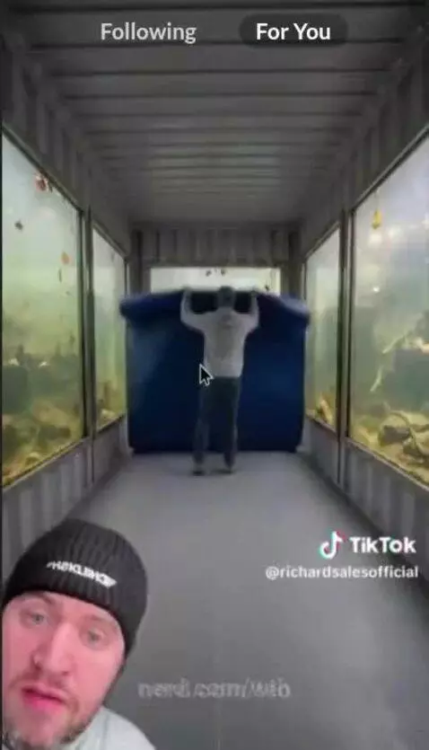 w vid by wth