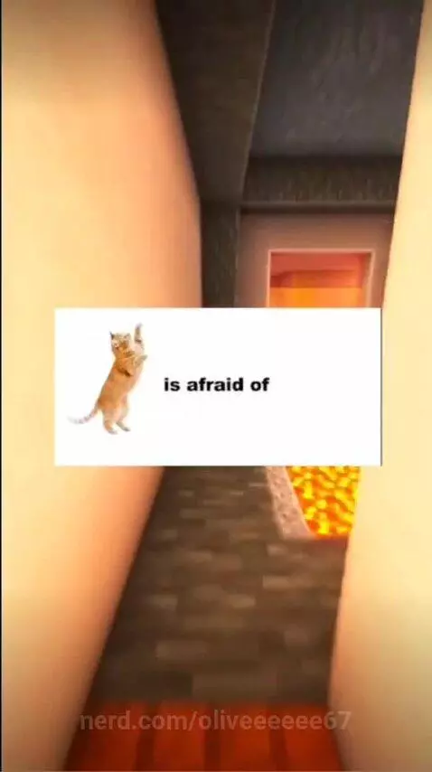 Video by oliveeeeee67