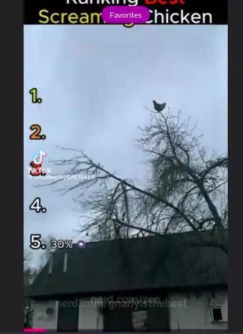 Video by gnarlyisthebest