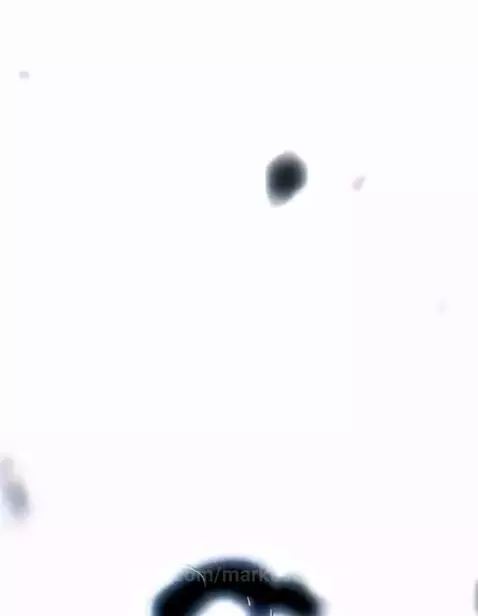 Video by markus67345