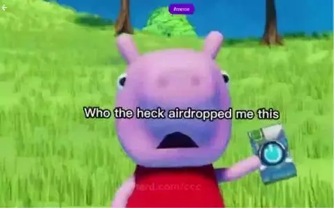 Video by ccc