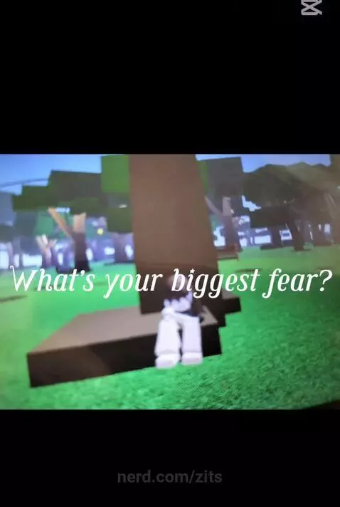 Video by zits