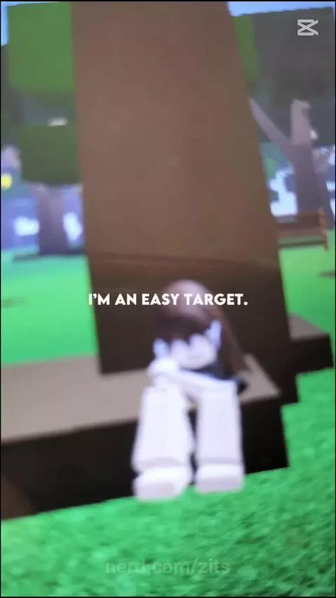 Video by zits