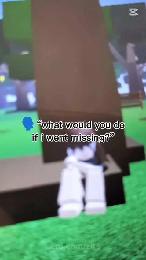 Video by zits