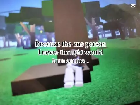 Video by zits