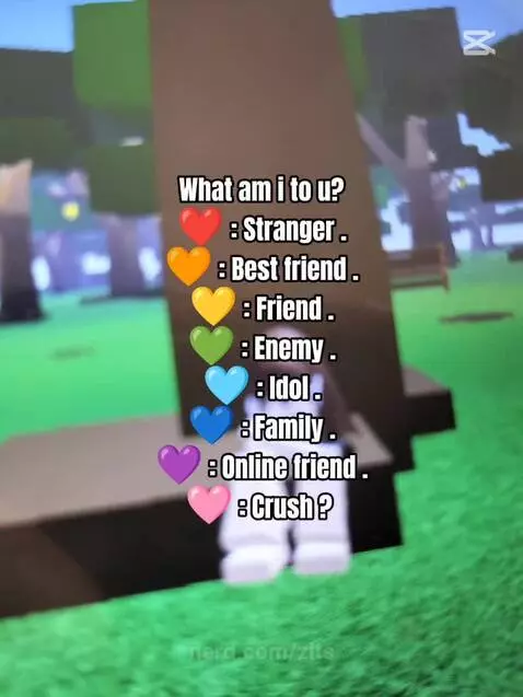 Video by zits