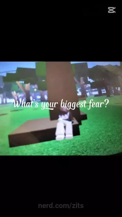 Video by zits