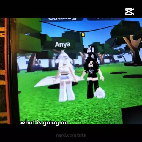 Video by zits