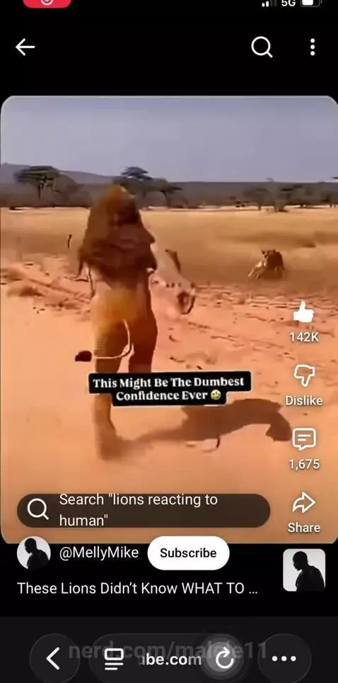 guys I think that isn’t a lion.. by malele11