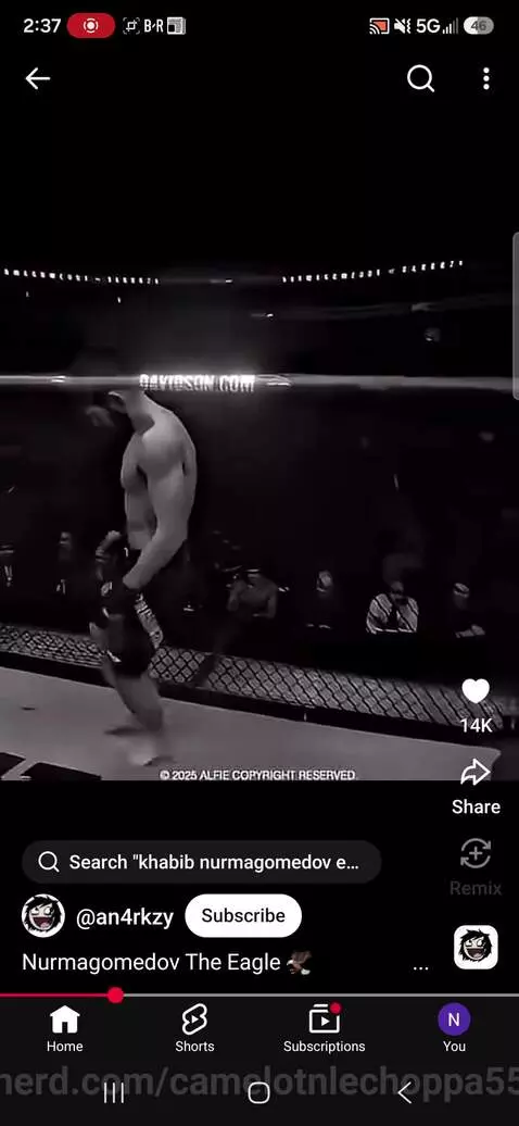 Khabib is crazy good by camelotnlechoppa55