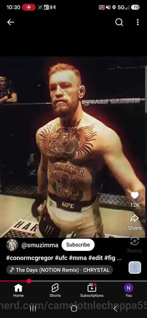 What happened to Connor McGregor bru by camelotnlechoppa55