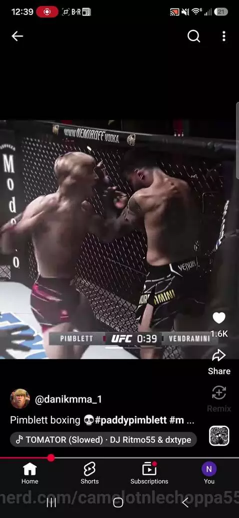 Ufc is lwk good ngl by camelotnlechoppa55