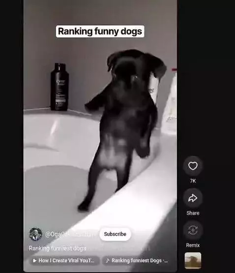 Video by joiven