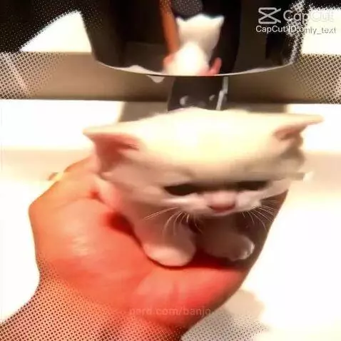 Video by banjo
