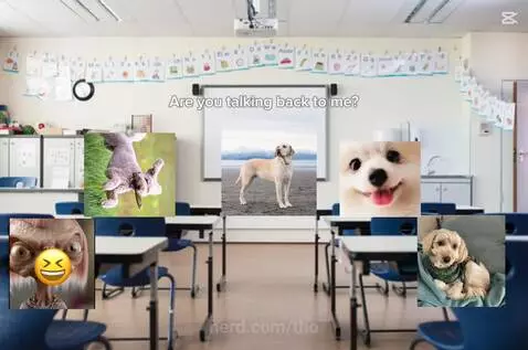 Video by tho