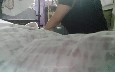 Video by raccoon