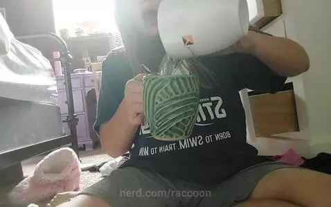Video by raccoon