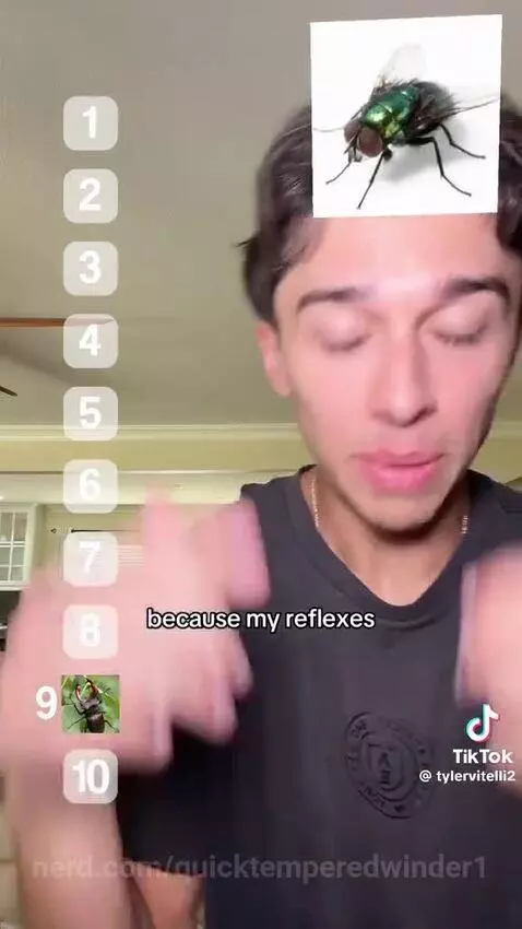 Video by quicktemperedwinder1