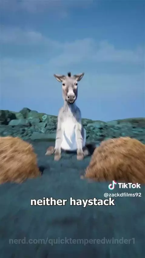 Video by quicktemperedwinder1
