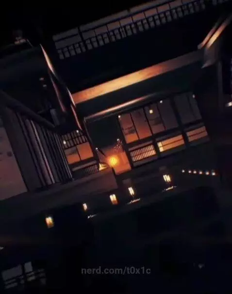 Video by t0x1c