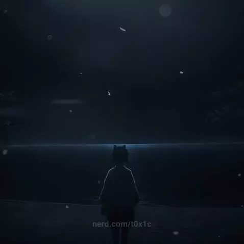 Video by t0x1c
