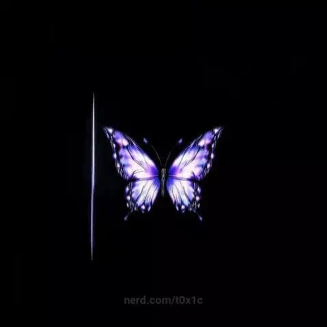 Video by t0x1c
