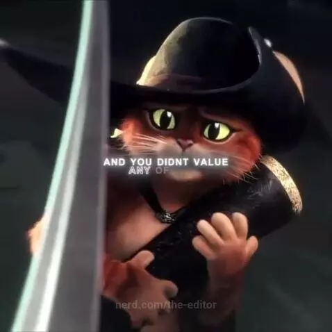 Video by the-editor