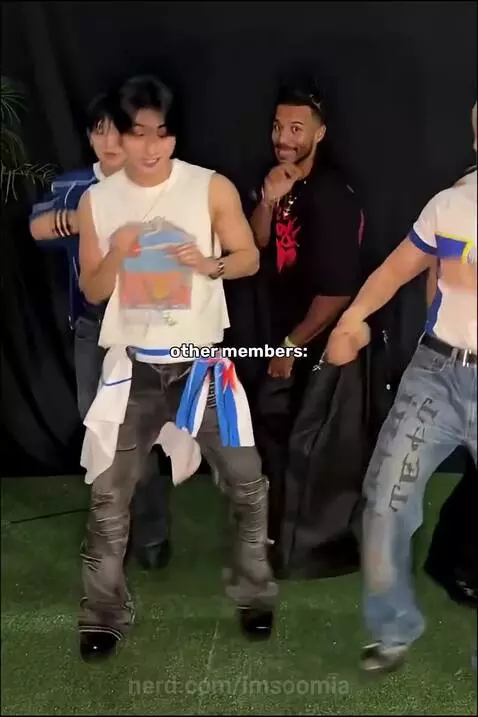 Other member vs meanwhile felix broooo by imsoomia
