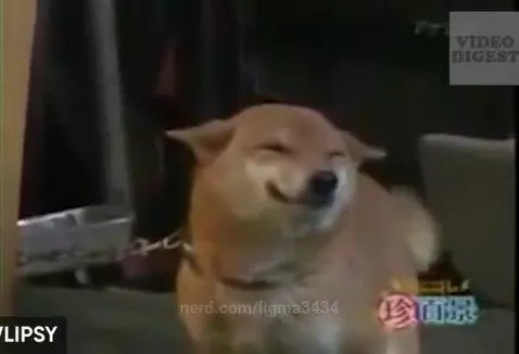 Pls like. I hope these stuff make you happy by ligma3434