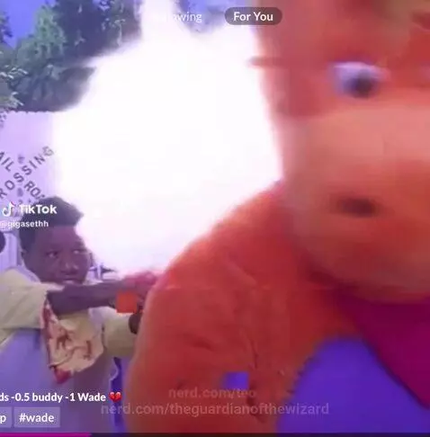 Video by theguardianofthewizard