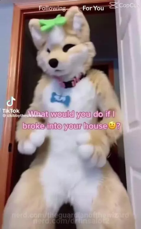 Video by theguardianofthewizard