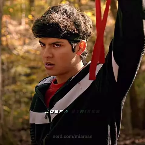 ytshorts, cobrakai, fypviral by miarose