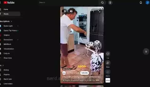 im not getting this dog by 14joljon03588