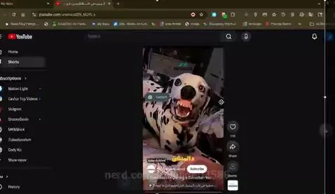 Video by 14joljon03588