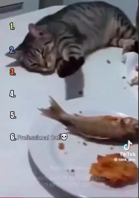 Video by 14joljon03588