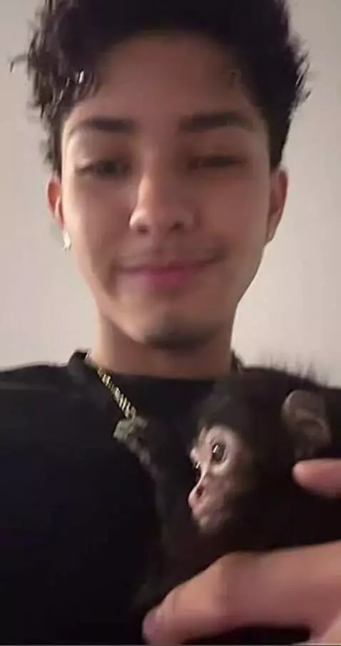 me and my monkey. by vector