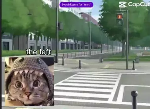 Video by low